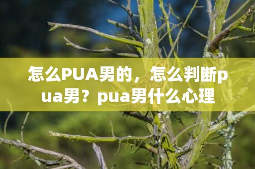 怎么PUA男的，怎么判断pua男？pua男什么心理