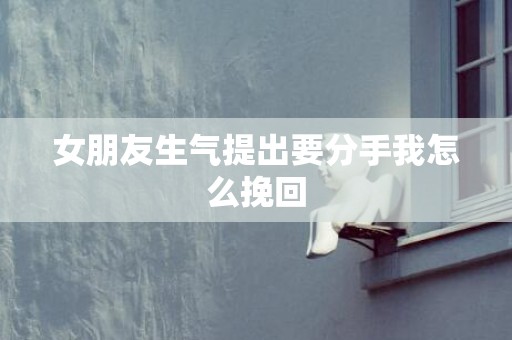 女朋友生气提出要分手我怎么挽回