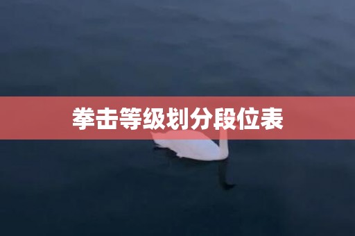 拳击等级划分段位表