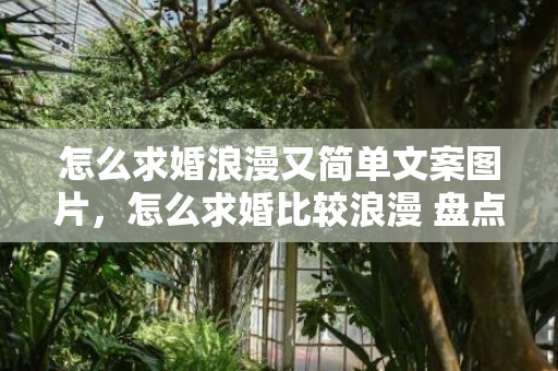 怎么求婚浪漫又简单文案图片，怎么求婚比较浪漫 盘点最具创意的求婚策划？怎样求婚最简单而又浪漫