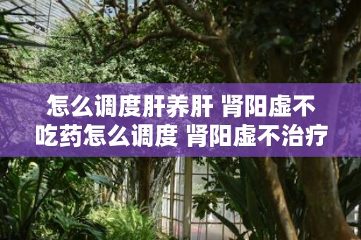 怎么调度肝养肝 肾阳虚不吃药怎么调度 肾阳虚不治疗会怎么样