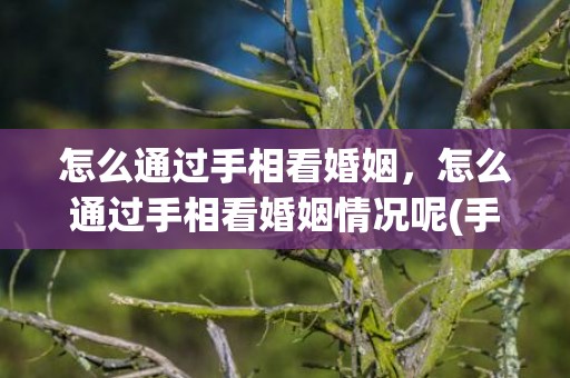怎么通过手相看婚姻，怎么通过手相看婚姻情况呢(手相婚姻线大全图解)