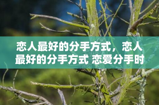 恋人最好的分手方式，恋人最好的分手方式 恋爱分手时注意的6件事 最体面的分手方式