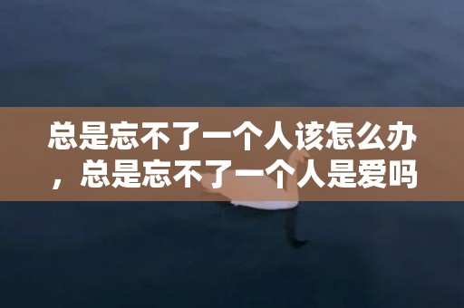 总是忘不了一个人该怎么办，总是忘不了一个人是爱吗为什么