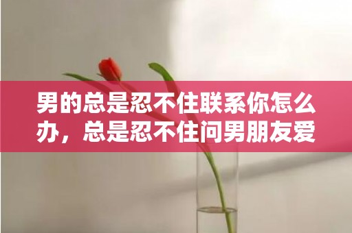 男的总是忍不住联系你怎么办，总是忍不住问男朋友爱不爱我 天天问男朋友爱不爱你会烦吗