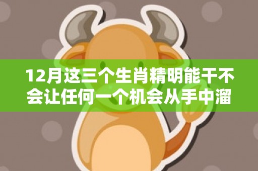 12月这三个生肖精明能干不会让任何一个机会从手中溜走