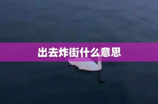 出去炸街什么意思
