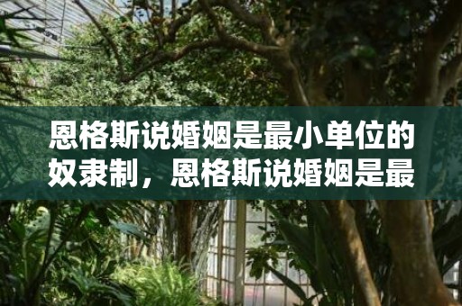 恩格斯说婚姻是最小单位的奴隶制，恩格斯说婚姻是最后的奴隶制对吗