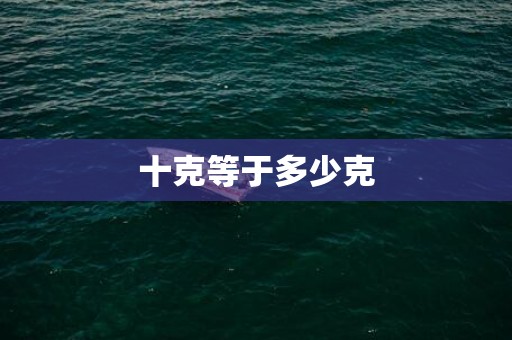 十克等于多少克