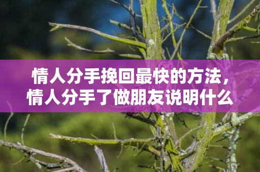 情人分手挽回最快的方法，情人分手了做朋友说明什么