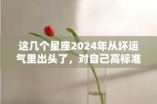 这几个星座2024年从坏运气里出头了，对自己高标准高要求