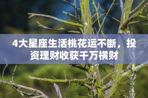 4大星座生活桃花运不断，投资理财收获千万横财