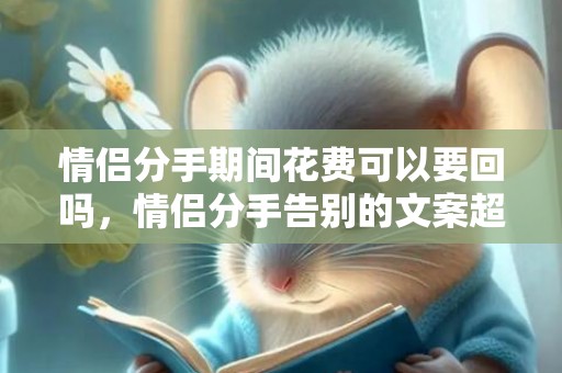 情侣分手期间花费可以要回吗，情侣分手告别的文案超多的短句
