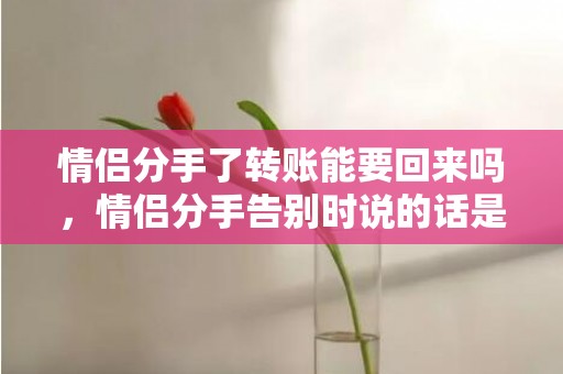 情侣分手了转账能要回来吗，情侣分手告别时说的话是什么意思？快分手的情侣说的话