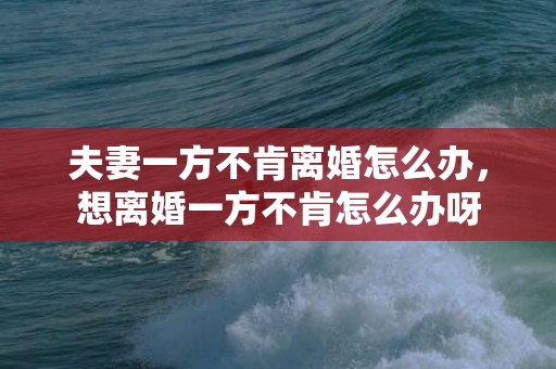 夫妻一方不肯离婚怎么办，想离婚一方不肯怎么办呀