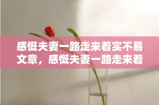 感慨夫妻一路走来着实不易文章，感慨夫妻一路走来着实不易的诗句