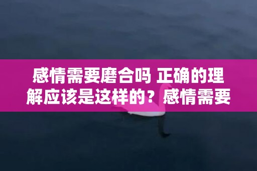 感情需要磨合吗 正确的理解应该是这样的？感情需要磨合是什么意思