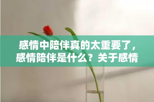 感情中陪伴真的太重要了，感情陪伴是什么？关于感情