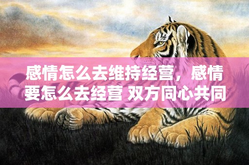 感情怎么去维持经营，感情要怎么去经营 双方同心共同偕老 两个人之间的感情要怎么经营