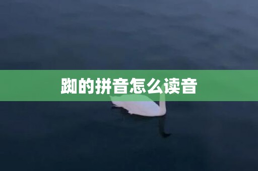 踟的拼音怎么读音