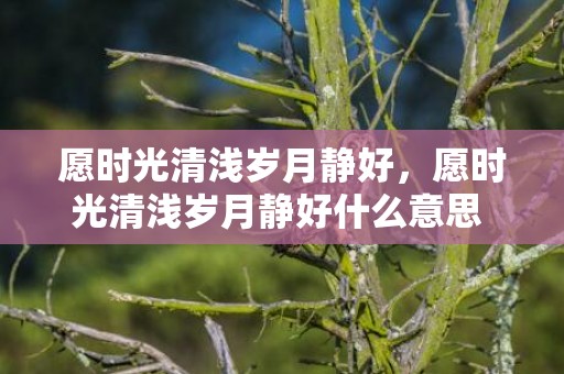 愿时光清浅岁月静好，愿时光清浅岁月静好什么意思 愿时光清浅,岁月静好