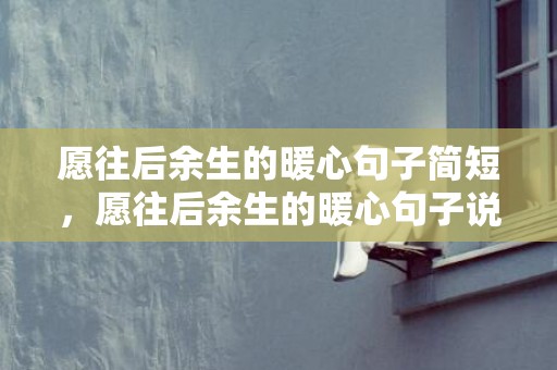 愿往后余生的暖心句子简短，愿往后余生的暖心句子说说短句 《往后余生》经典语录