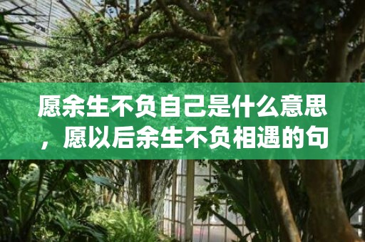 愿余生不负自己是什么意思，愿以后余生不负相遇的句子(愿余生与你相伴的句子)