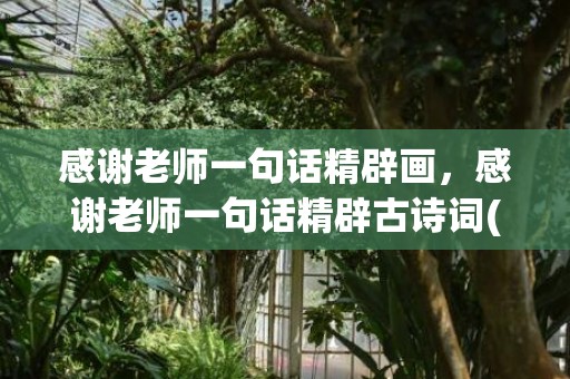感谢老师一句话精辟画，感谢老师一句话精辟古诗词(表示感谢老师的结尾句子诗句)