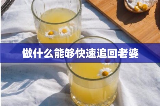 做什么能够快速追回老婆
