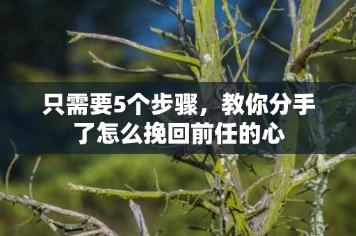 只需要5个步骤，教你分手了怎么挽回前任的心