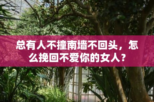 总有人不撞南墙不回头，怎么挽回不爱你的女人？