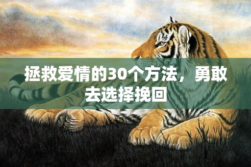 拯救爱情的30个方法，勇敢去选择挽回