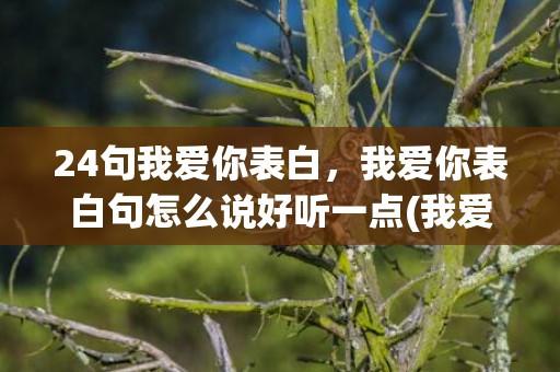 24句我爱你表白，我爱你表白句怎么说好听一点(我爱你的表白情话)