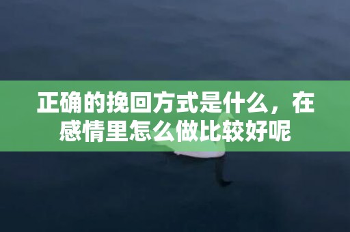 正确的挽回方式是什么，在感情里怎么做比较好呢
