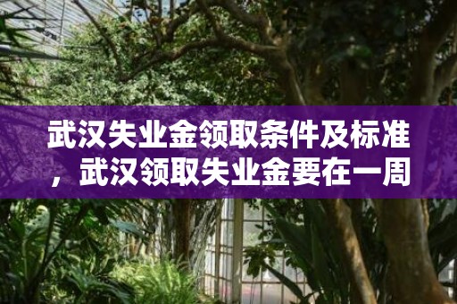 武汉失业金领取条件及标准，武汉领取失业金要在一周内申请吗2023