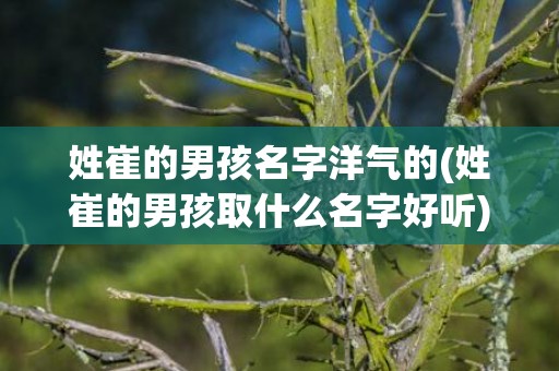 姓崔的男孩名字洋气的(姓崔的男孩取什么名字好听)