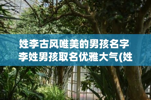 姓李古风唯美的男孩名字 李姓男孩取名优雅大气(姓李的女孩名字大全古风唯美)