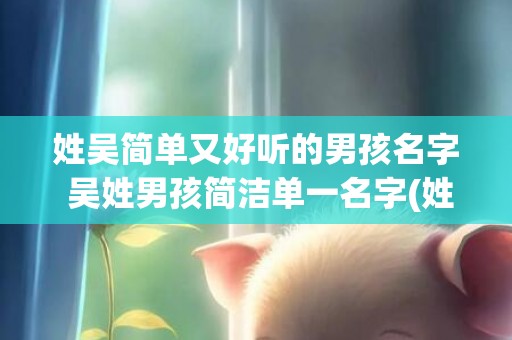 姓吴简单又好听的男孩名字 吴姓男孩简洁单一名字(姓吴叫什么名字好听)