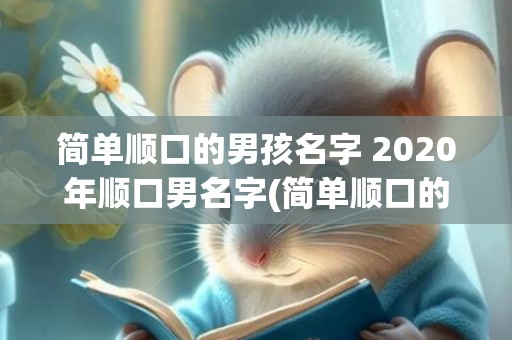 简单顺口的男孩名字 2020年顺口男名字(简单顺口的男孩名字小名)