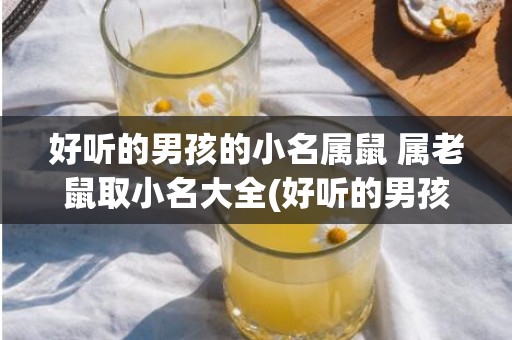 好听的男孩的小名属鼠 属老鼠取小名大全(好听的男孩的小名有哪些)