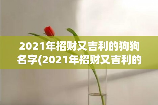 2021年招财又吉利的狗狗名字(2021年招财又吉利的狗英文名字)