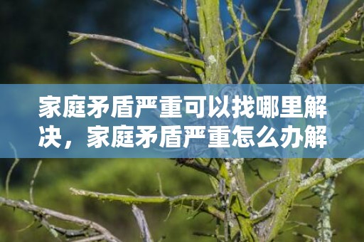 家庭矛盾严重可以找哪里解决，家庭矛盾严重怎么办解决方法呢
