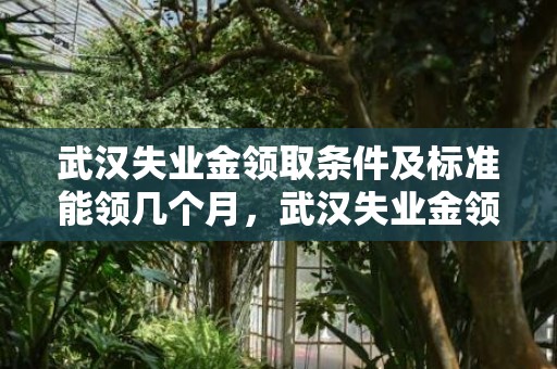 武汉失业金领取条件及标准能领几个月，武汉失业金领取条件及标准2023年