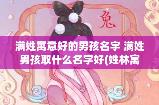 满姓寓意好的男孩名字 满姓男孩取什么名字好(姓林寓意好的独特男孩名字)