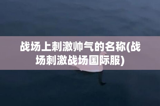 战场上刺激帅气的名称(战场刺激战场国际服)