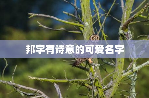 邦字有诗意的可爱名字