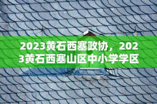 2023黄石西塞政协，2023黄石西塞山区中小学学区划分范围