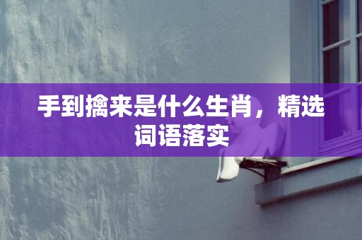 手到擒来是什么生肖，精选词语落实
