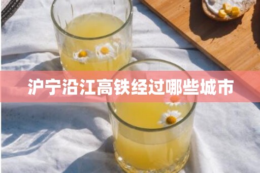 沪宁沿江高铁经过哪些城市