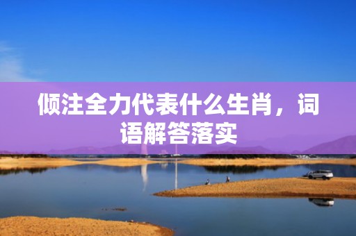 倾注全力代表什么生肖，词语解答落实
